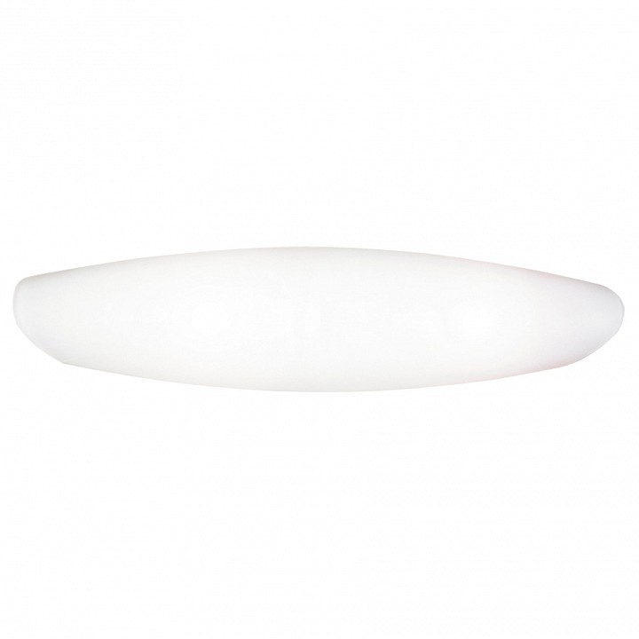 Накладной светильник Arte Lamp Aqua A6940AP-2WH